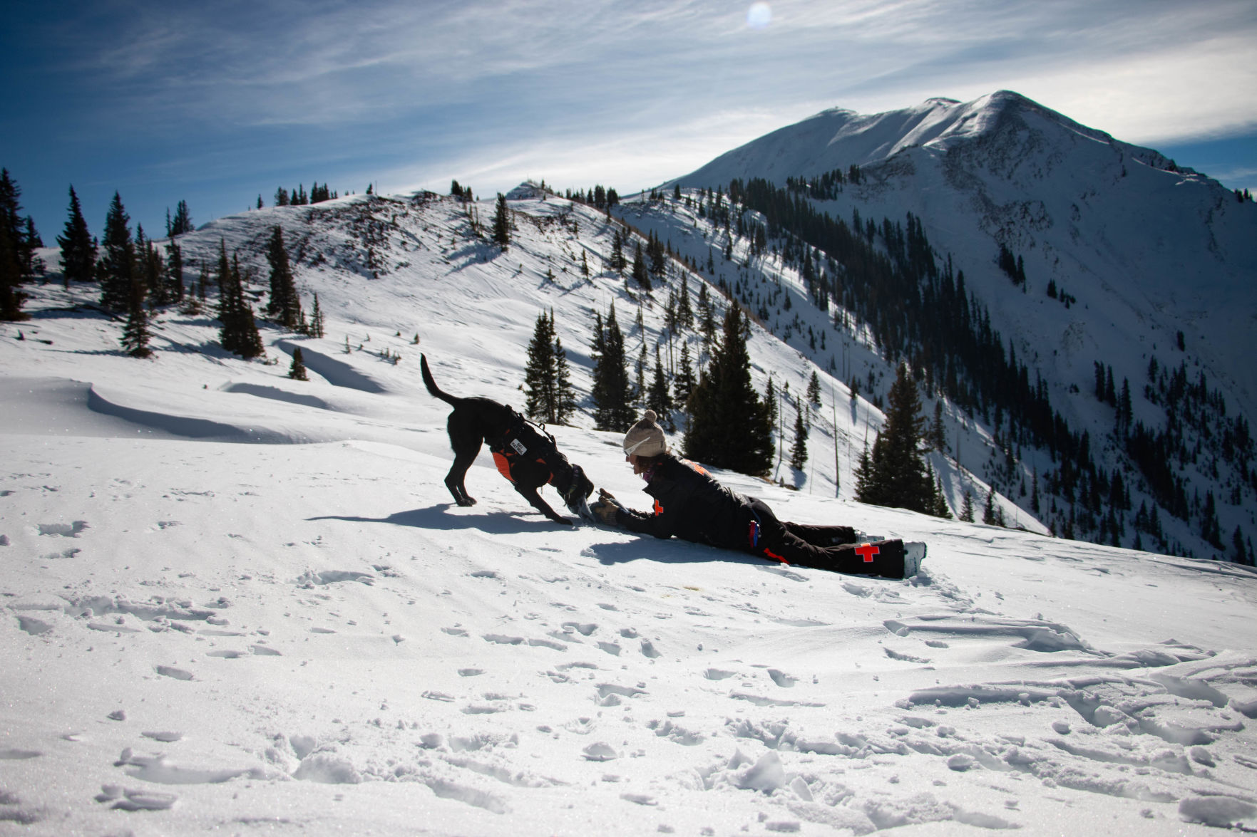 SkiDogs-9611.jpg